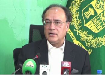 عوام گھروں میں بیٹھ کر ٹیکس فائل کرسکیں گے،  وزیر خزانہ