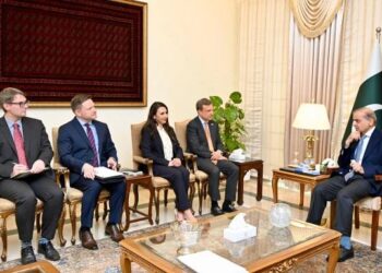 امریکی کمپنیاں پاکستانی معدنیات کے شعبے سے استفادہ کریں، وزیراعظم