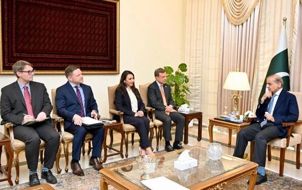 امریکی کمپنیاں پاکستانی معدنیات کے شعبے سے استفادہ کریں، وزیراعظم