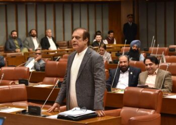 پاکستان کو پہلگام واقعے سے جوڑنے کی مذمت، سینیٹ میں قرارداد متفقہ طور پر منظور