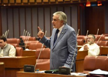 پاکستان کو پہلگام واقعے سے جوڑنے کی مذمت، سینیٹ میں قرارداد متفقہ طور پر منظور