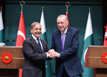 پاکستان اورترکیہ کا توانائی اور آئی ٹی کے شعبہ میں تعاون پر اتفاق