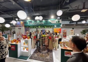 پاکستانی خواتین کی کاروباری کامیابیوں کو خراجِ تحسین