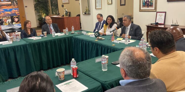 پاک امریکہ سرمایہ کاری تعاون کو فروغ دینے کی کوشش