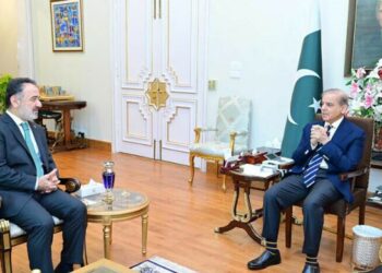 ترکیہ،یونان اور سویڈن کی پاکستانی موقف کی حمایت