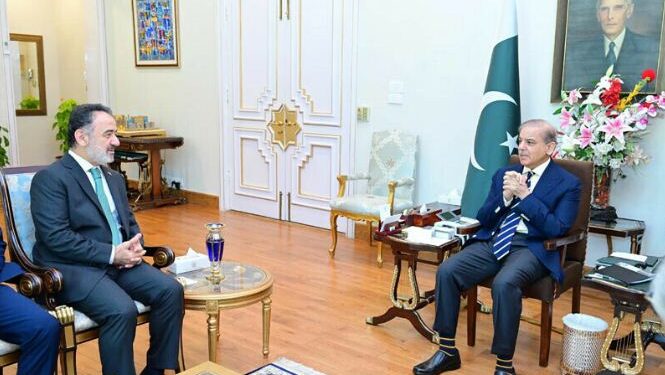 ترکیہ،یونان اور سویڈن کی پاکستانی موقف کی حمایت