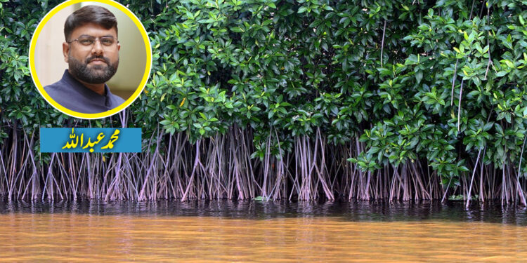 مینگروز۔۔۔کراچی کے پھیپھڑے اور انسانیت کی آخری امید