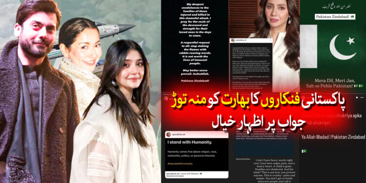 پاکستانی فنکاروں کا بھارتیوں کو جواب