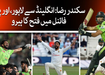 سکندر رضا کا کارنامہ