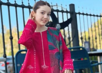 ثنا یوسف قتل کیس میں فیڈرل پراسیکیوٹرکی جانب سے 2 رکنی ٹیم مقرر