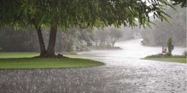 برساتی نالے میں کار بہہ گئی، باپ بیٹی لاپتہ