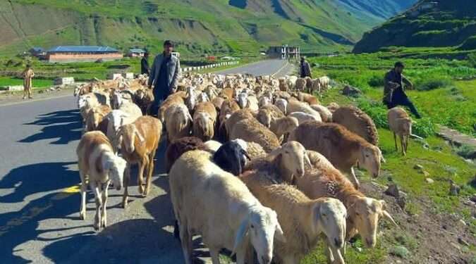 خیبرپختونخوا کے سیاحتی علاقوں میں انٹری فیس لازمی قرار