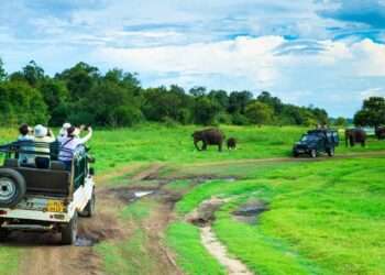 سری لنکا کا  پاکستان سمیت 40 ممالک کیلیے ویزا فیس ختم کرنے کا اعلان