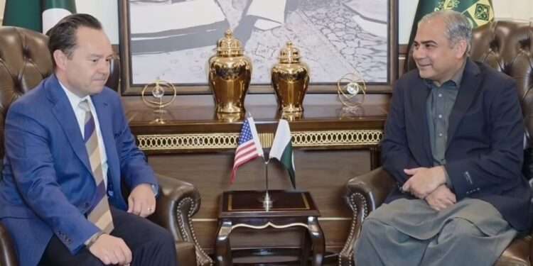 وزیر داخلہ محسن نقوی سے امریکی کوآرڈینیٹر برائے انسداد دہشت گردی کی ملاقات