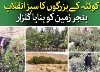 بزرگوں کا سبز انقلاب