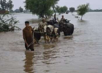 جنوبی پنجاب میں سیلاب کا خطرہ برقرار، بڑے پیمانے پر تباہی کا خدشہ