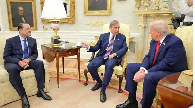 ٹرمپ، شبہاز ملاقات میں علاقائی سلامتی اور دہشتگردی سے نمٹنے کے تعاون پر گفتگو