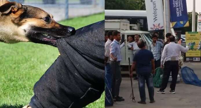 بھارت: آوارہ کتوں کے مسلسل حملے، غیر ملکی کوچز زخمی