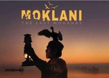 پاکستانی فلم نے جیکسن وائلڈ میڈیا ایوارڈ جیت لیا