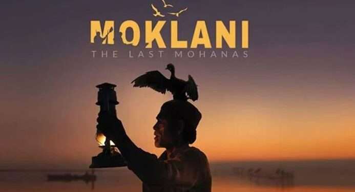 پاکستانی فلم نے جیکسن وائلڈ میڈیا ایوارڈ جیت لیا