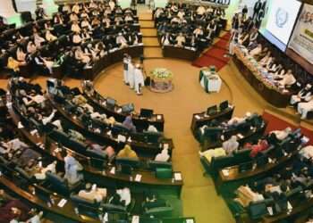 سہیل آفریدی خبیرپختونخوا کے نئے وزیراعلیٰ منتخب