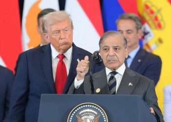 ٹرمپ کو قابو میں رکھنے کا فن صرف شہباز شریف کو آتا ہے، برطانوی اخبار