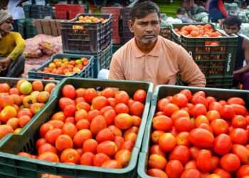 ملک بھر میں ٹماٹر کی قیمت آسمان پر
