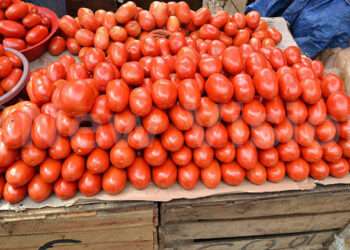 ملک بھر میں ٹماٹر کی قیمت آسمان پر