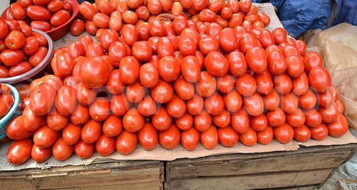 ملک بھر میں ٹماٹر کی قیمت آسمان پر