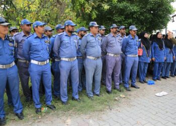lahore traffic police