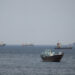 ships and boats in the strait of hormuz